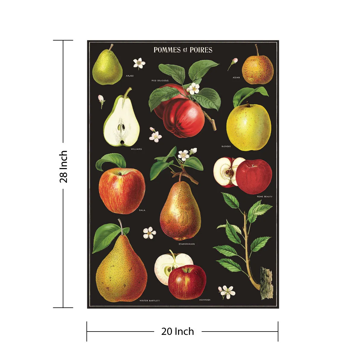 Apples and Pears Vintage Style Poster