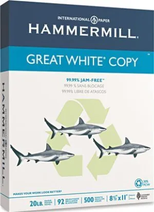 Great White Recycled Copy Paper 92 Brightness 20Lb 8-1/2 X 11 5000 Shts/Ctn