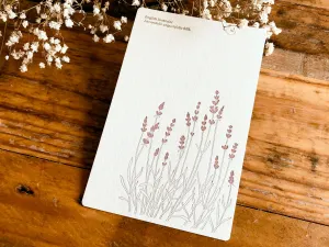 High Quality Botanical Garden Letterpress Postcard - Lavender